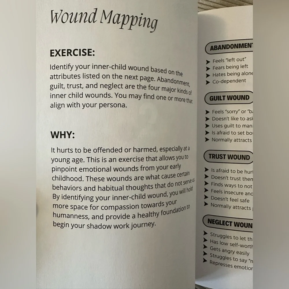 NEW The Shadow Work Journal: A Guide to Integrate and Transcend Your Shadows